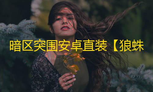暗区突围安卓直装【狼蛛】-辅助